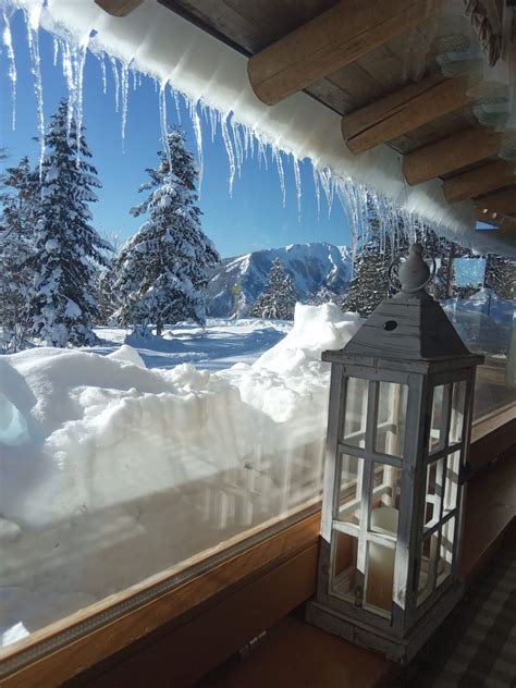 tana incantata altitudine|Lavarone , Drago di Vaia, chalet Tana incantata .